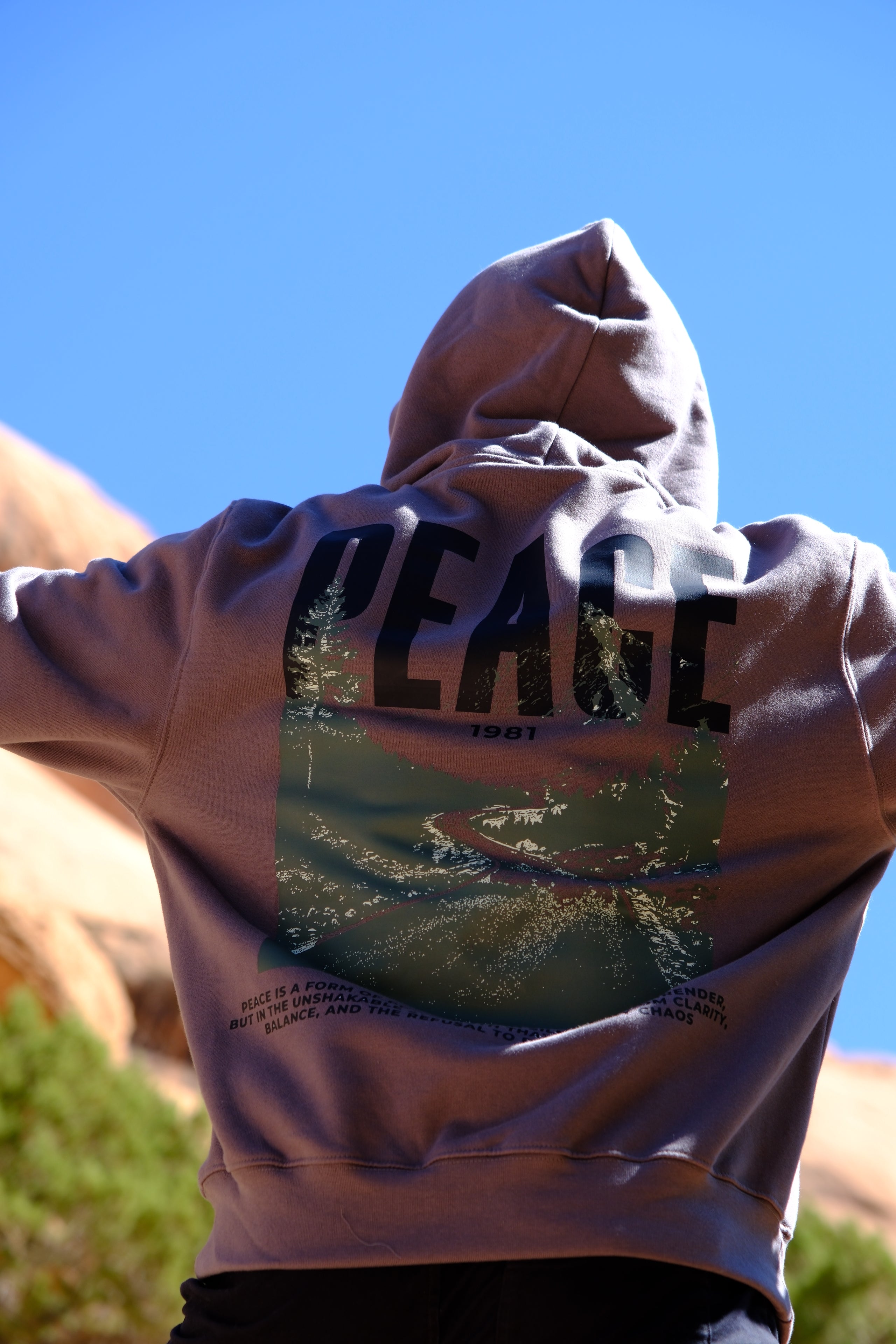 Peace 1981 Hoodie