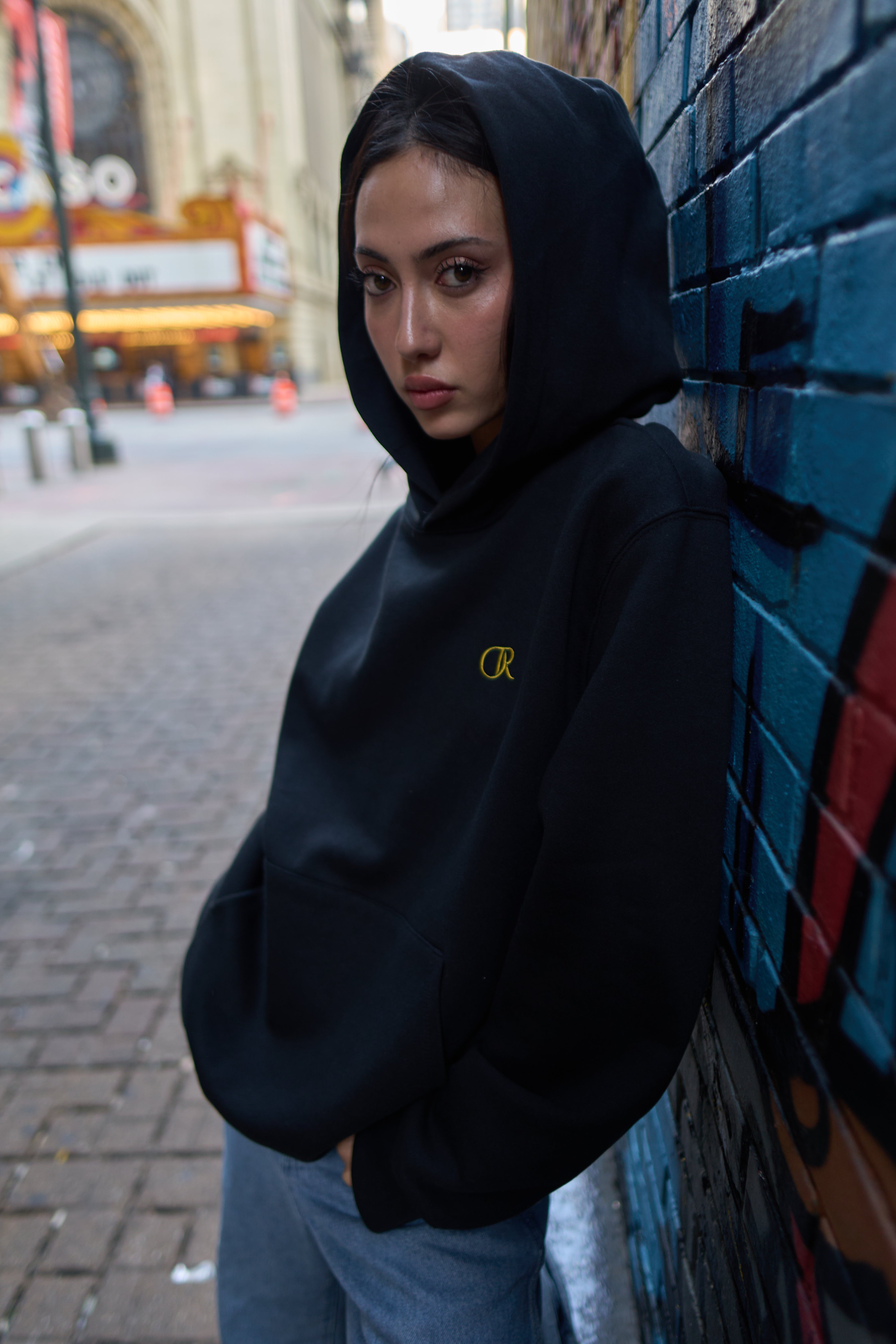 369 Manifestation Hoodie