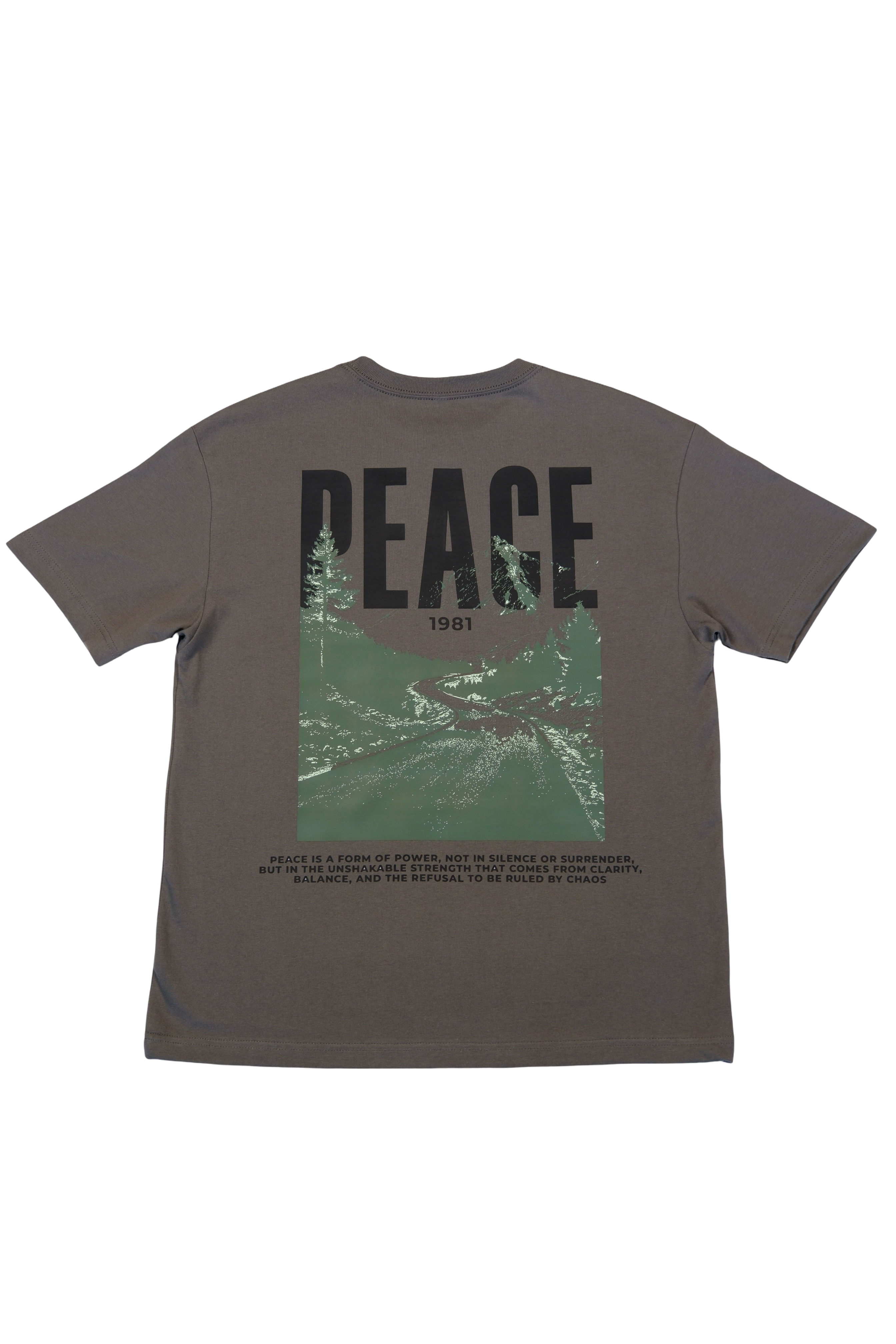 Peace 1981 Tee